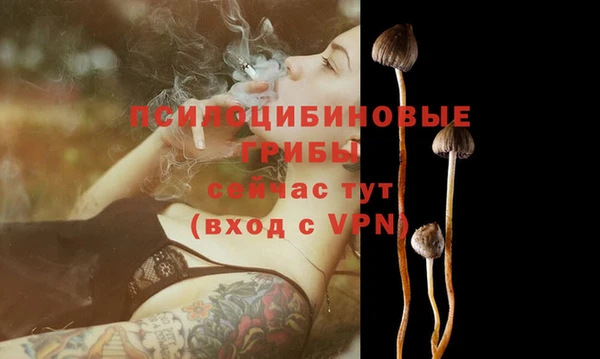 тгк Зерноград